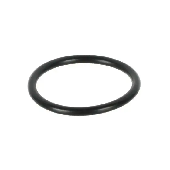 R70045010 LAINOX O RINGS FOR ELEMENT
