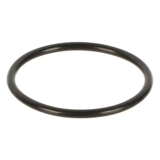 12010165 FAGOR O RING