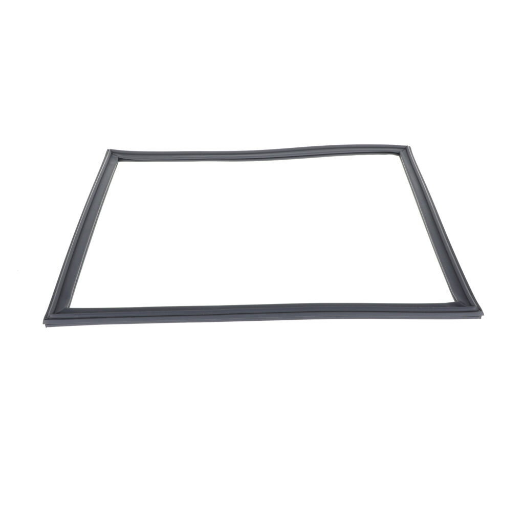 B1-GASKET19